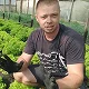 Чоловічій годинник з подарунковим набором: браслет, ланцюжок та кільце